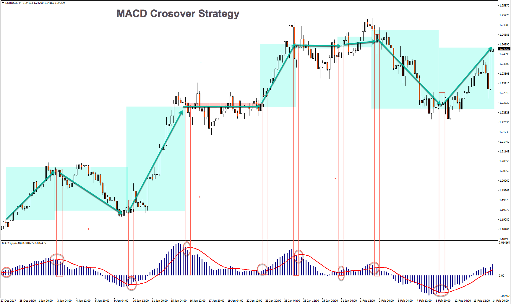 Macd forex strategy masters amateur odds