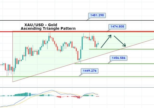 Gold Nov 19 2