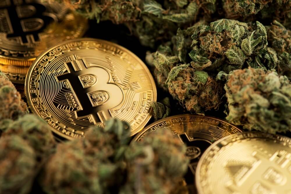 crypto currency linked to marijuana
