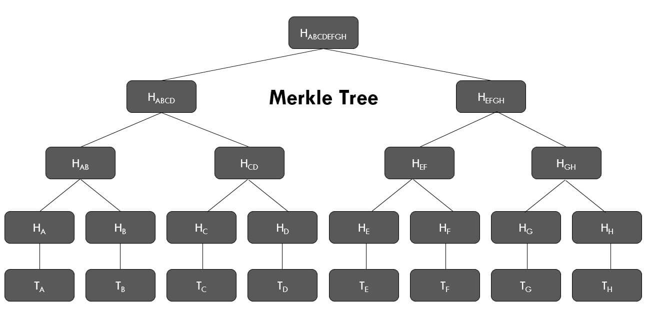 merkle tree bitcoin)