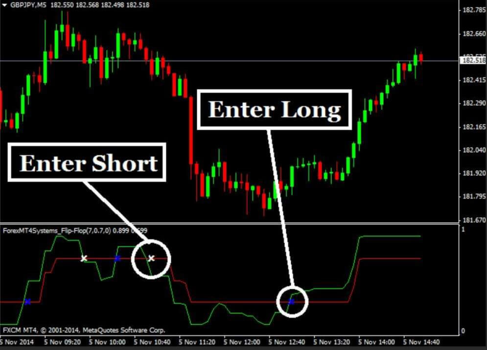 Forex for beginners tests forexabode