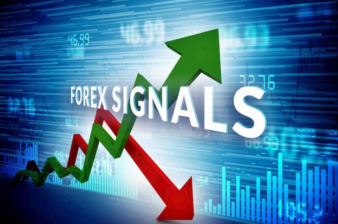 Image result for forex signal