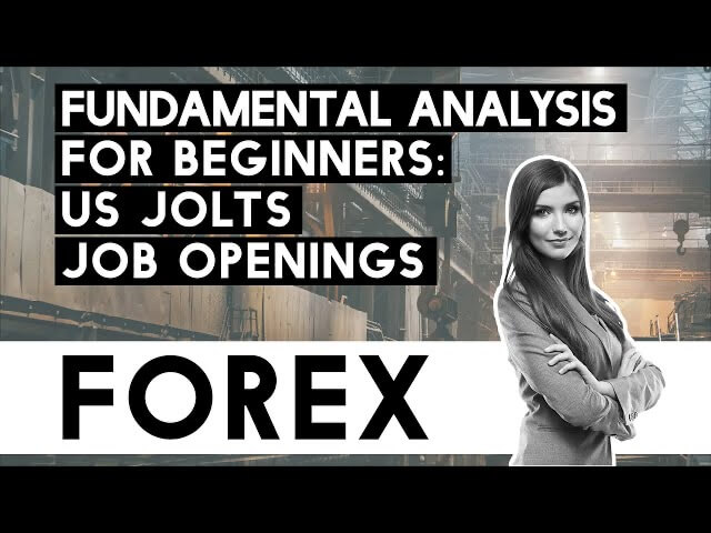 FOREX – Fundamental Analysis for Novices – US JOLTS Job Openings ...
