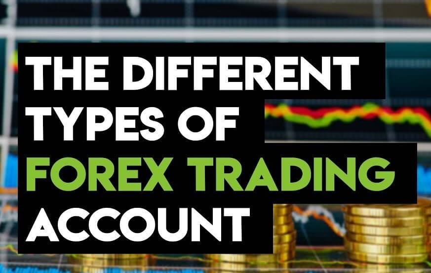 What is standard account in forex
