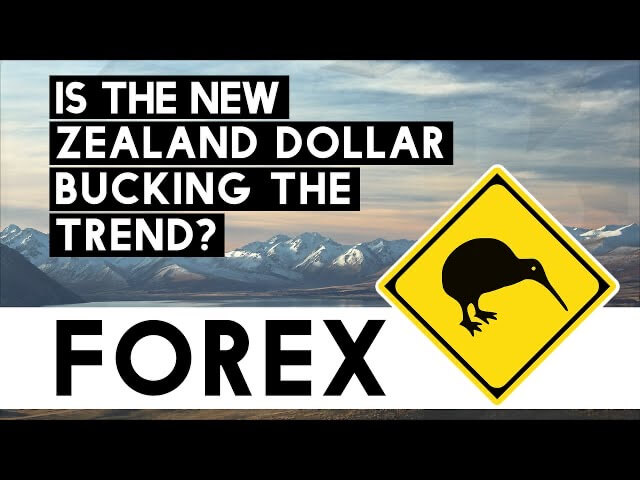 edgar forex new zealand