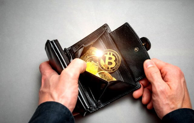 golden usb crypto wallet