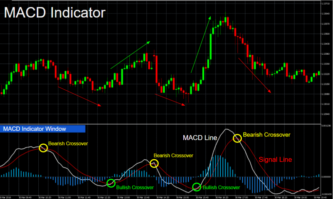 Moving average convergence divergent macd forex trading money management on forex calculator
