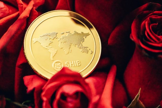 how-to-invest-on-forex-trade